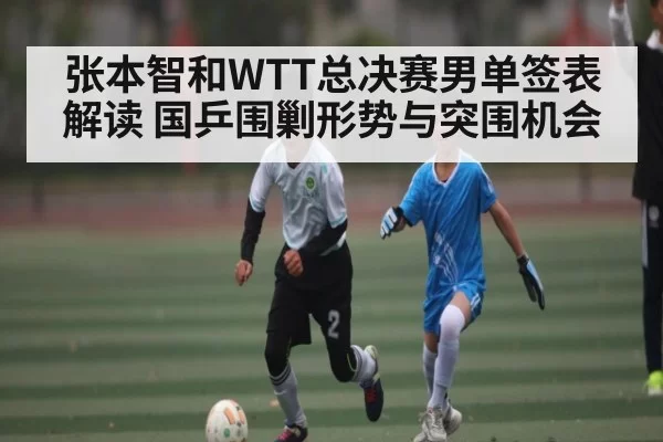 张本智和WTT总决赛男单签表解读 国乒围剿形势与突围机会